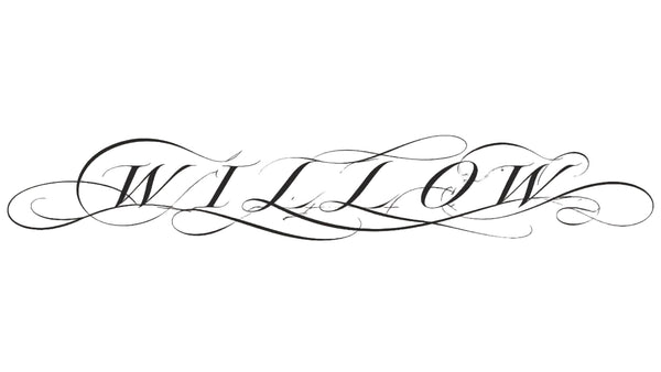 trialofwillow.com